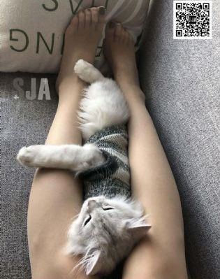 寄宿公寓的女郎_BD英语免费观看视频
